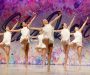 Dance Company Audition Information